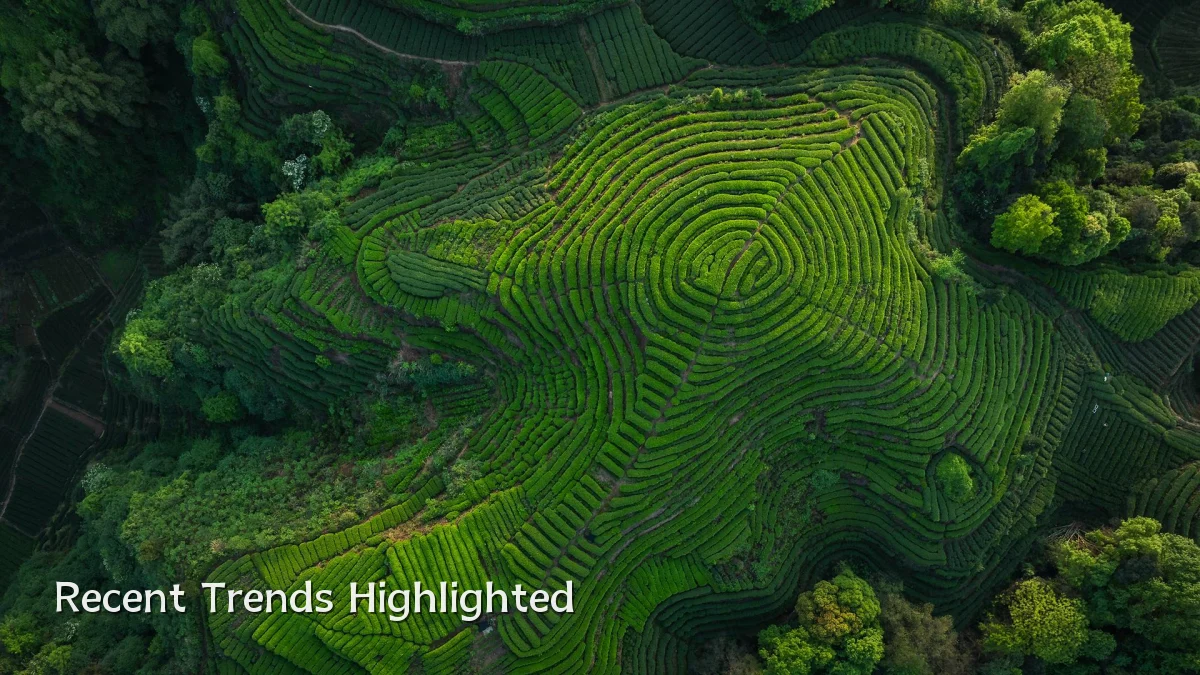 Recent Trends Highlighted