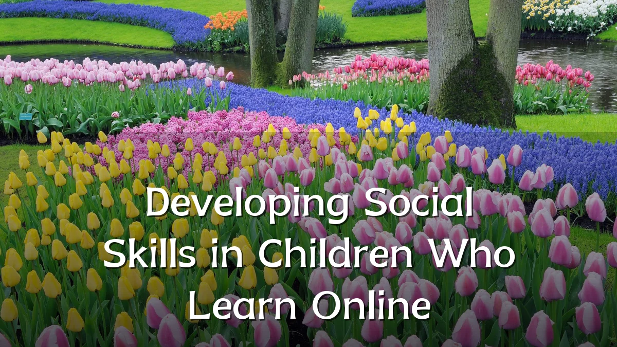 Developing Social Skills in Children Who Learn Online