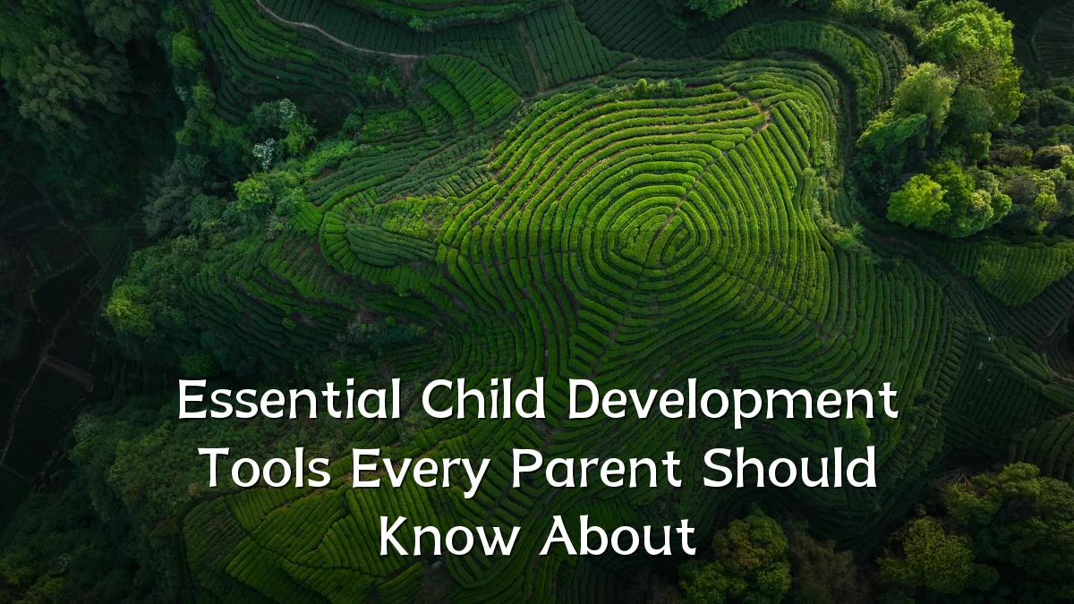Essential Child Development Tools Every Parent Should Know About