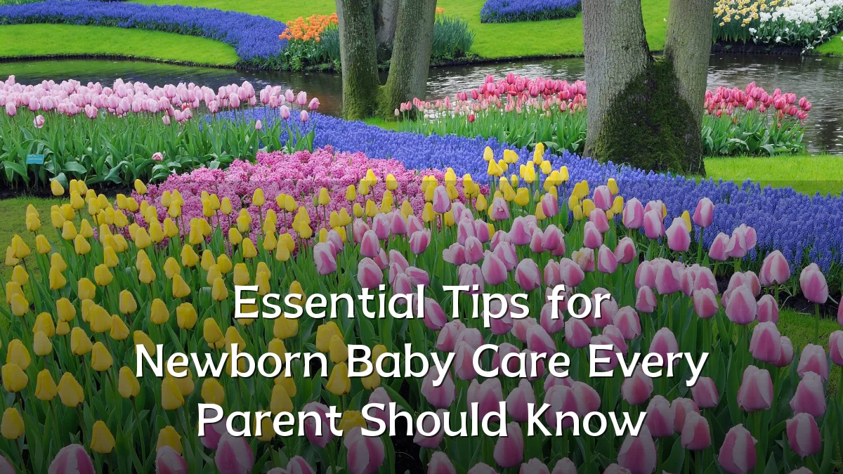 Essential Tips for Newborn Baby Care Every Parent Should Know