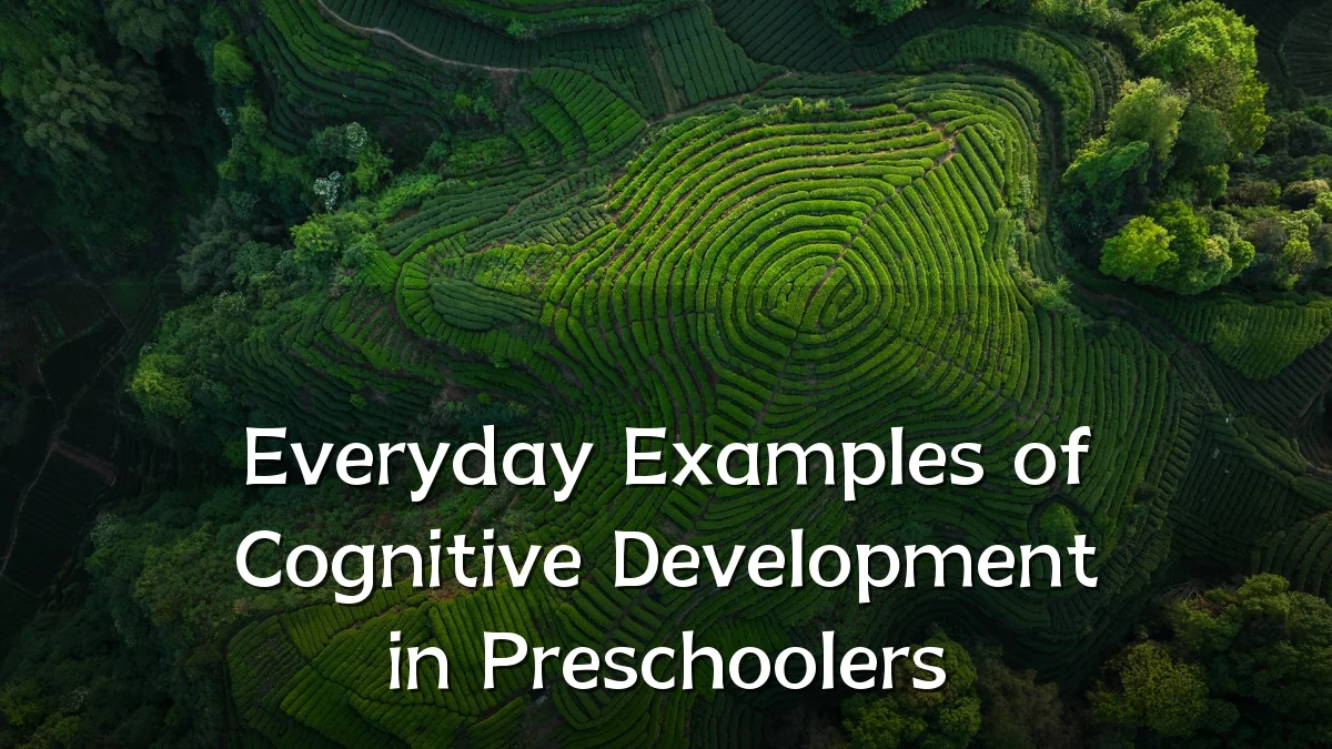 Everyday Examples of Cognitive Development in Preschoolers