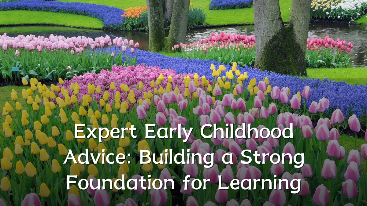 Expert Early Childhood Advice: Building a Strong Foundation for Learning