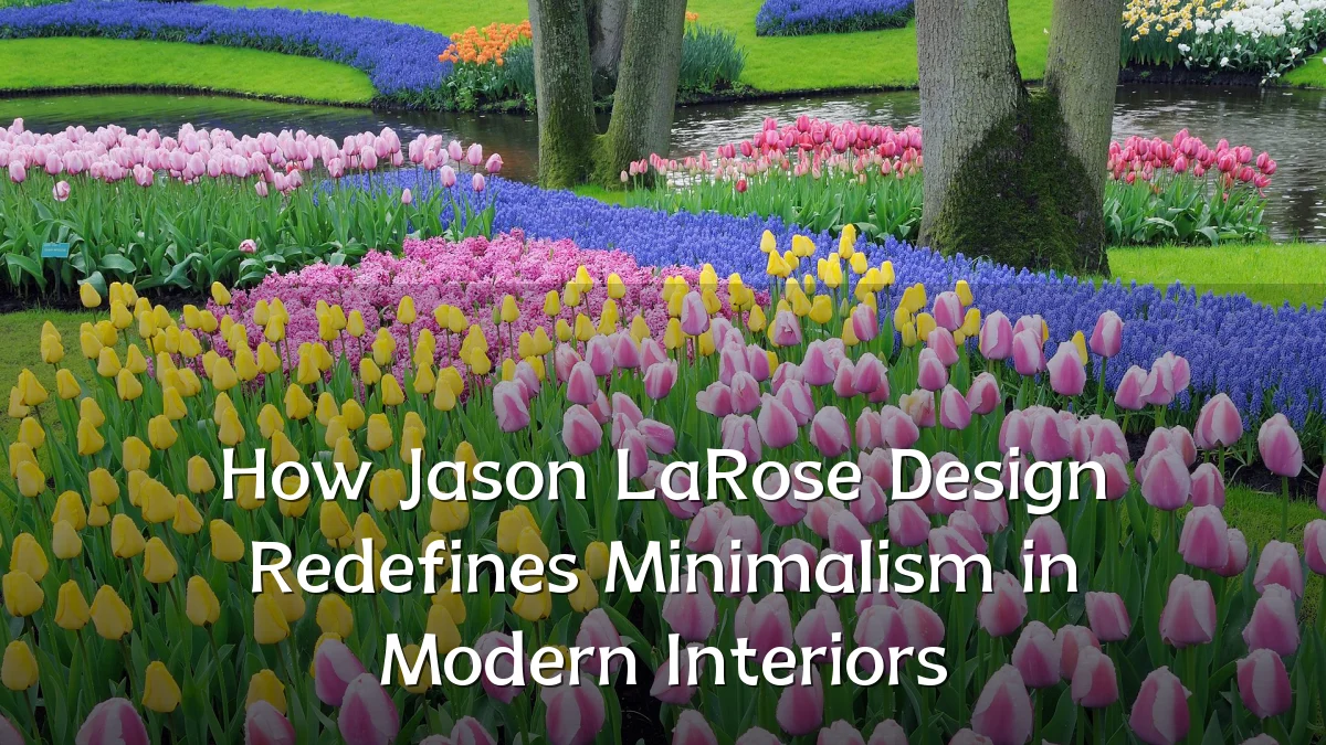How Jason LaRose Design Redefines Minimalism in Modern Interiors
