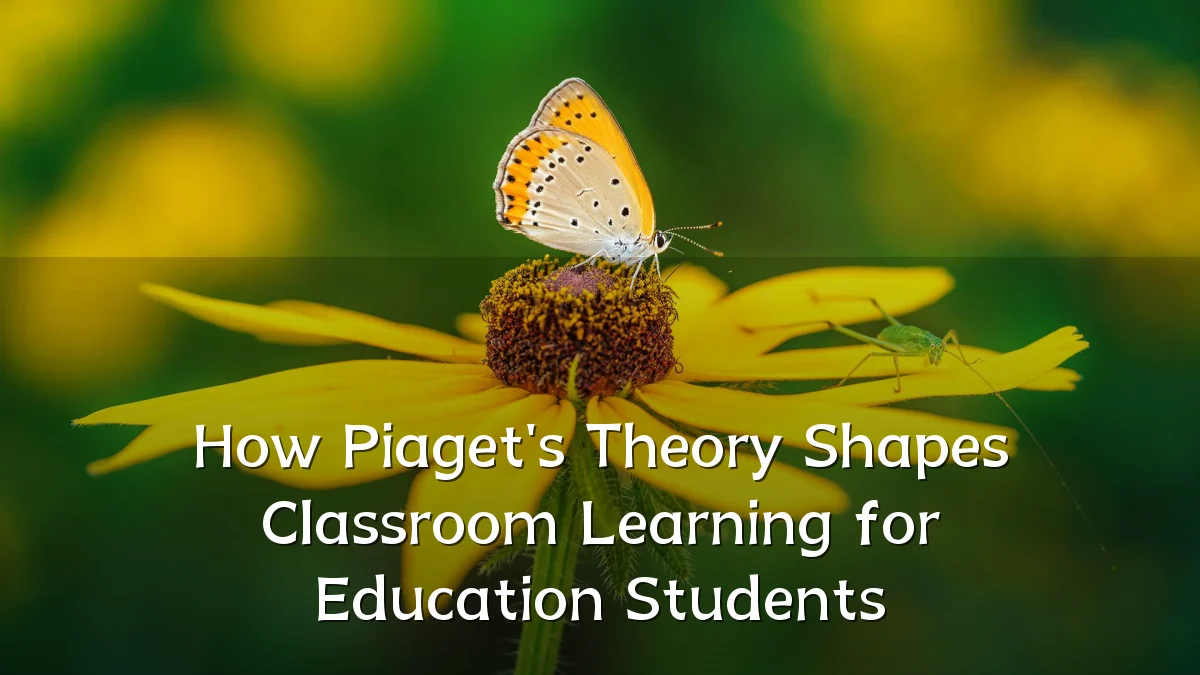 How Piaget's Theory Shapes Classroom Learning for Education Students