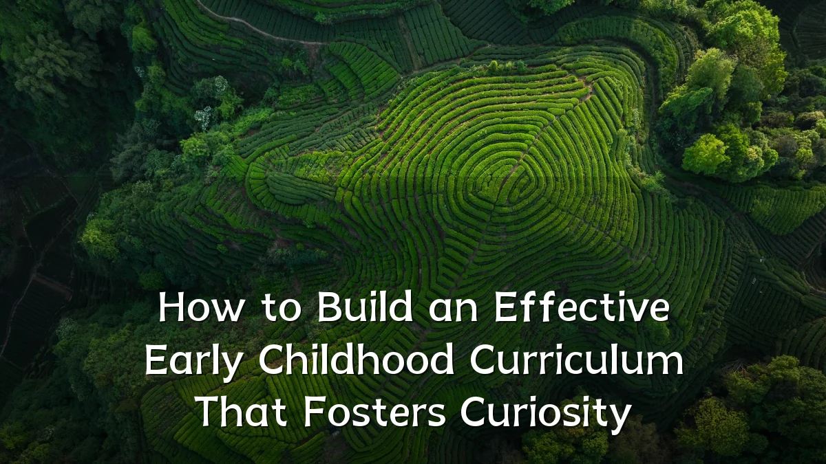 How to Build an Effective Early Childhood Curriculum That Fosters Curiosity