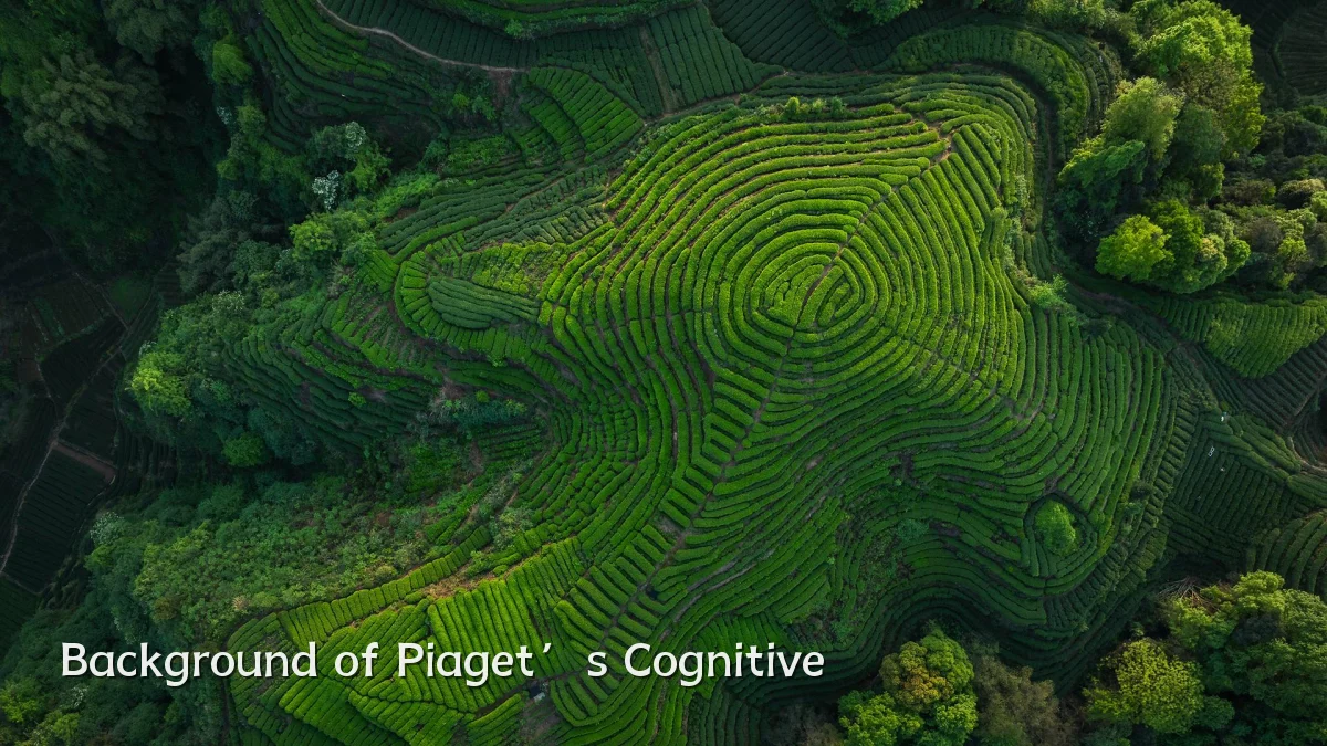 Background of Piaget’s Cognitive