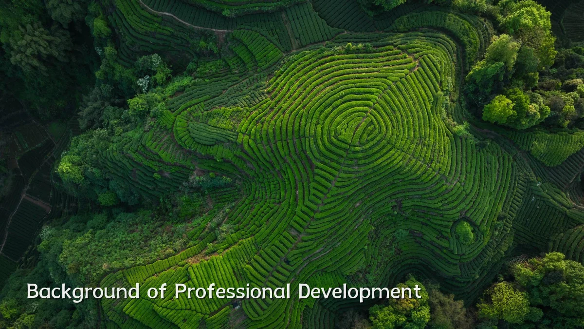 Background of Professional Development
