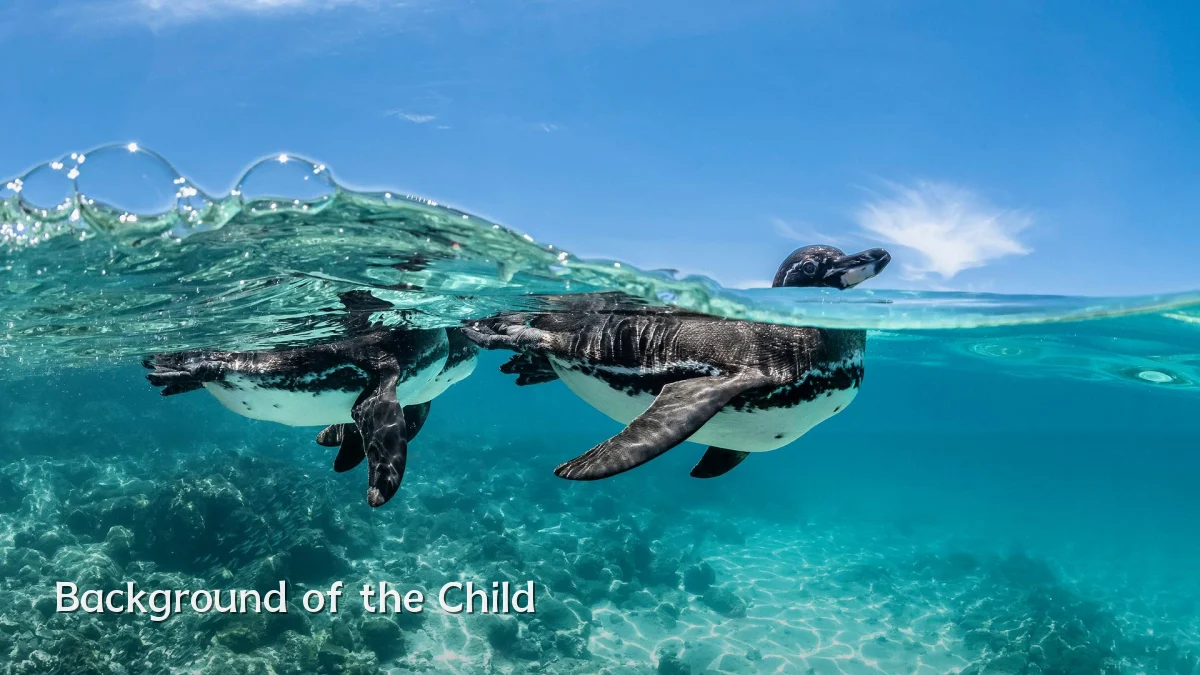 Background of the Child