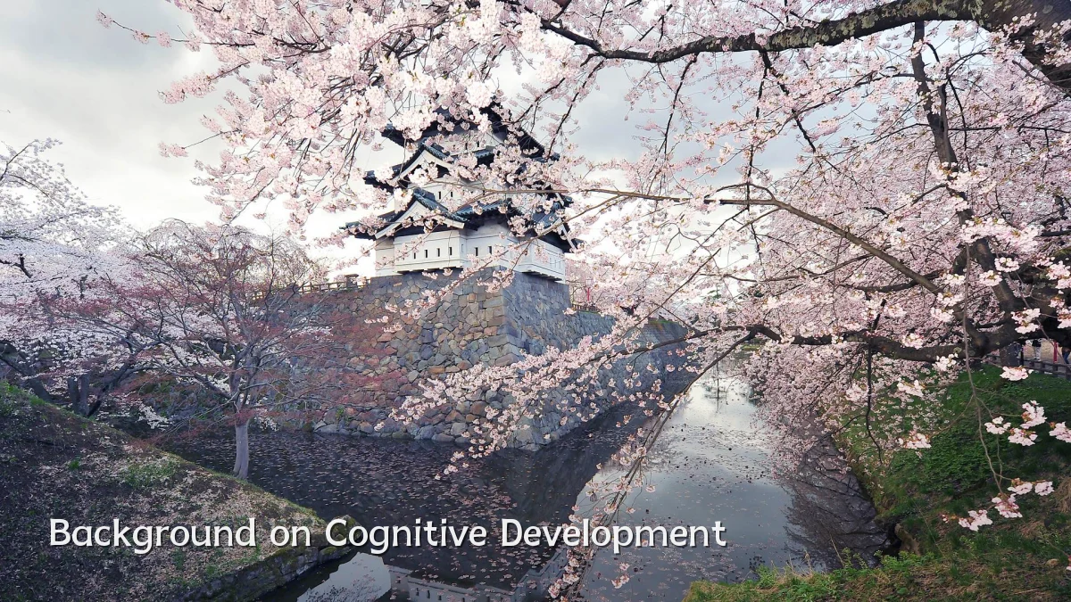 Background on Cognitive Development