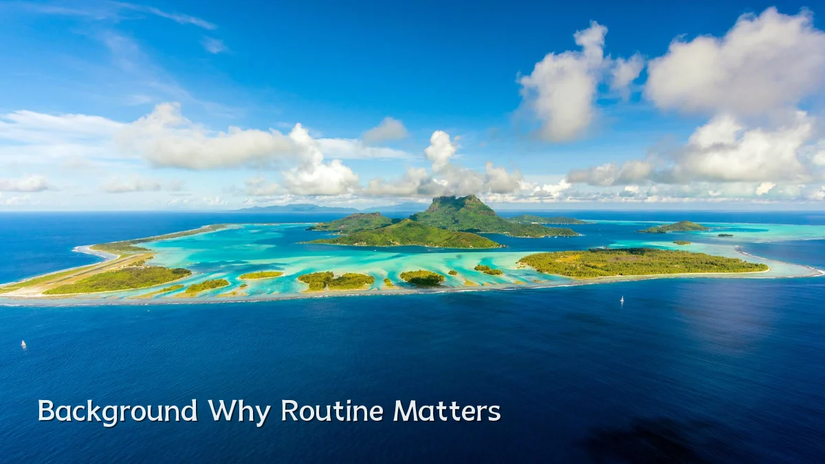 Background Why Routine Matters