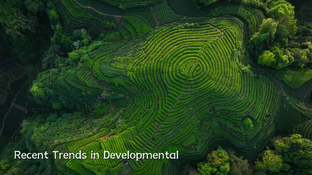 Recent Trends in Developmental