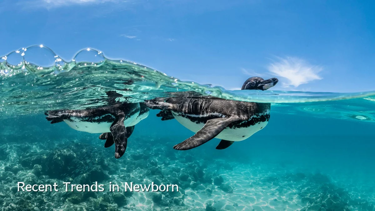 Recent Trends in Newborn