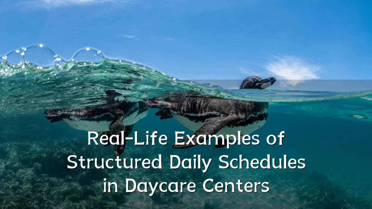 Real-Life Examples of Structured Daily Schedules in Daycare Centers