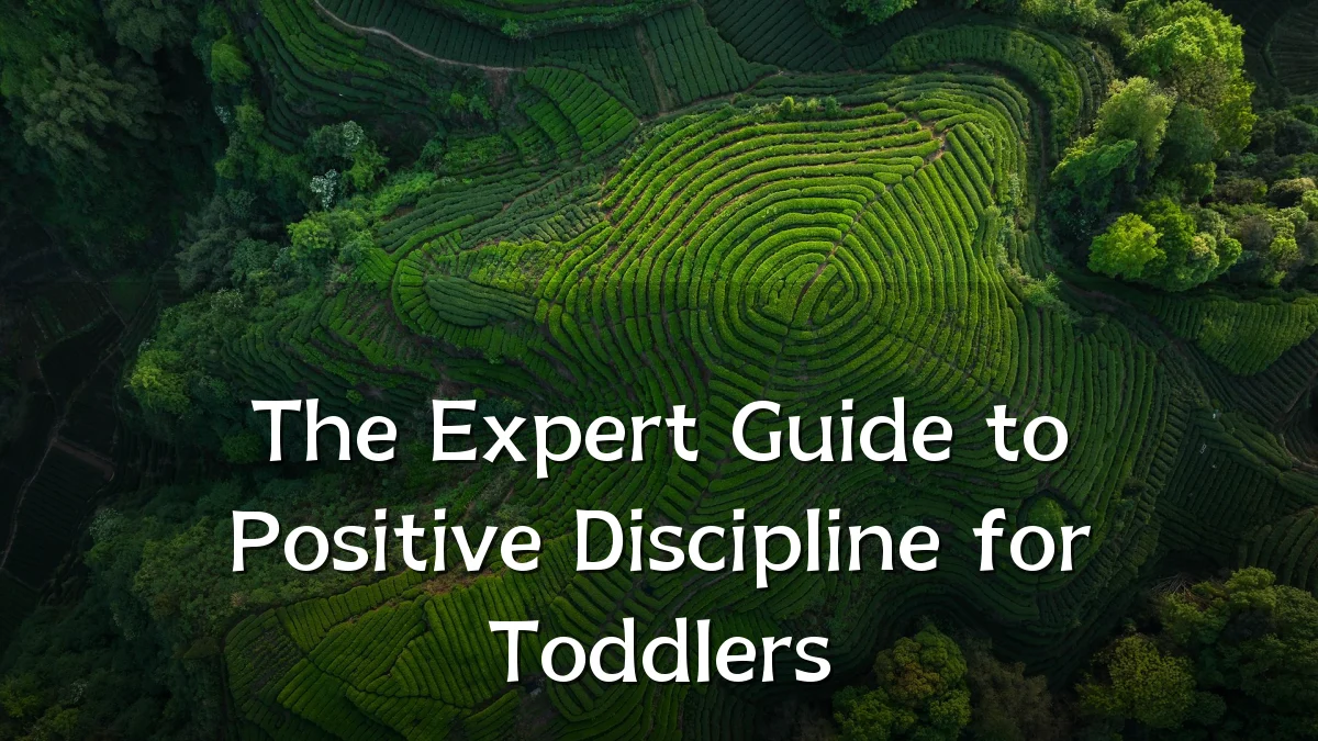 The Expert Guide to Positive Discipline for Toddlers