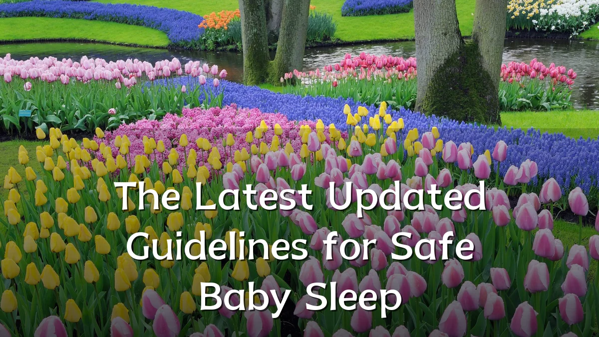 The Latest Updated Guidelines for Safe Baby Sleep