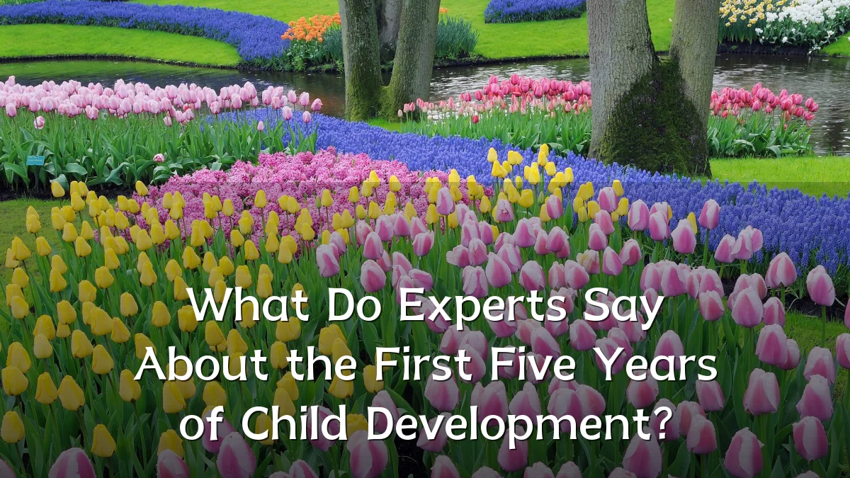 What Do Experts Say About the First Five Years of Child Development?