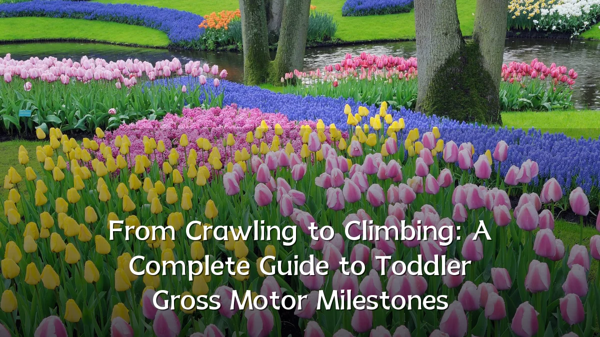 From Crawling to Climbing: A Complete Guide to Toddler Gross Motor Milestones