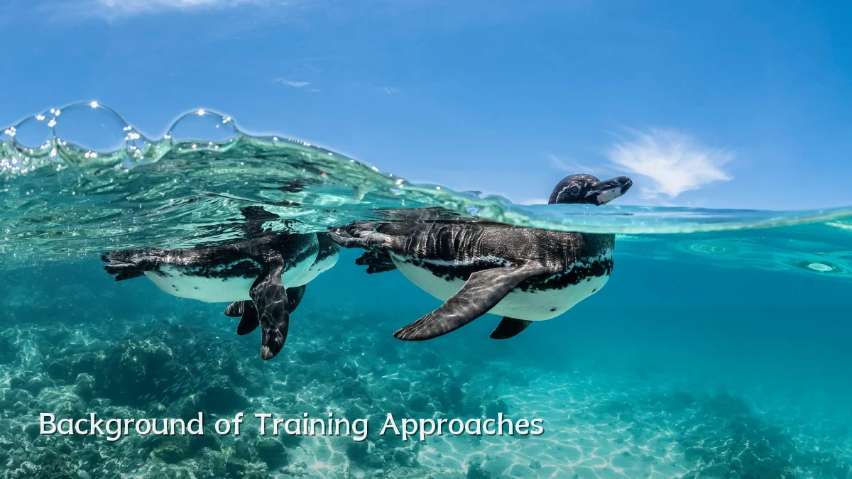 Background of Training Approaches