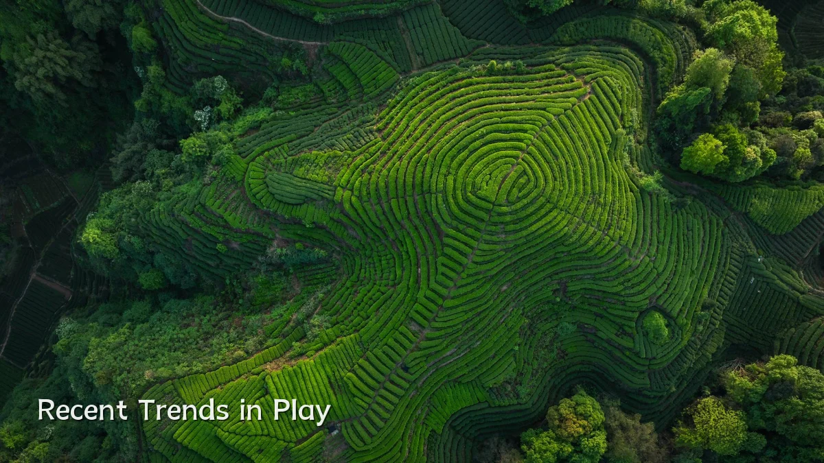 Recent Trends in Play