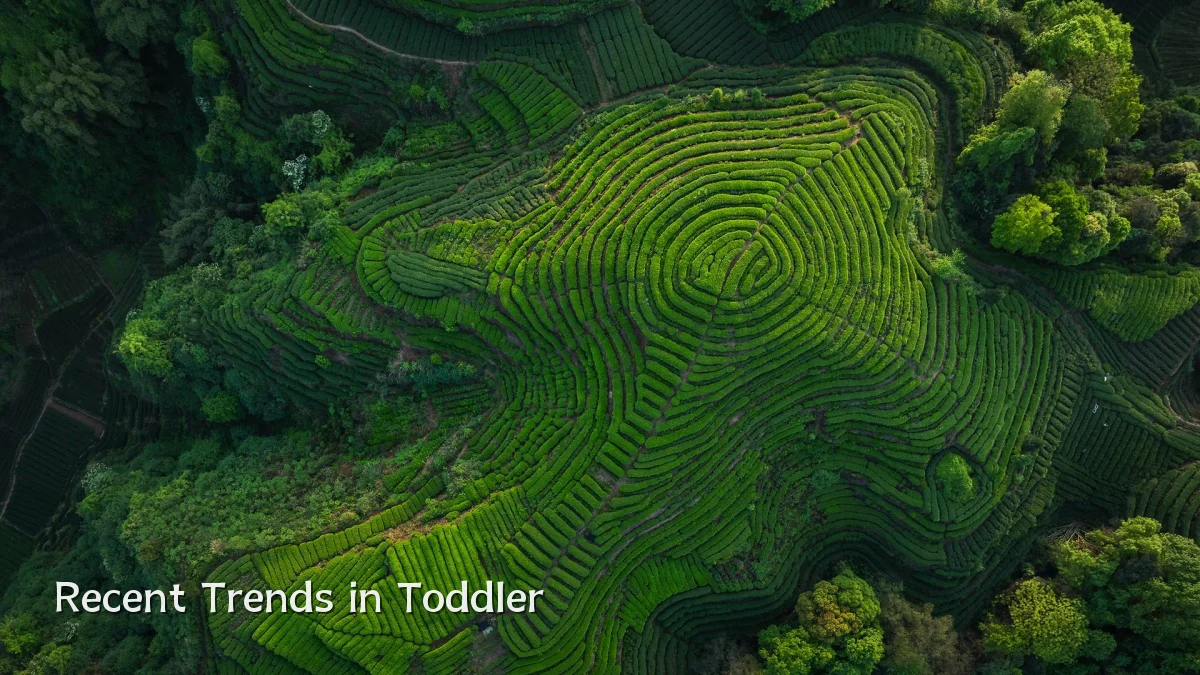Recent Trends in Toddler