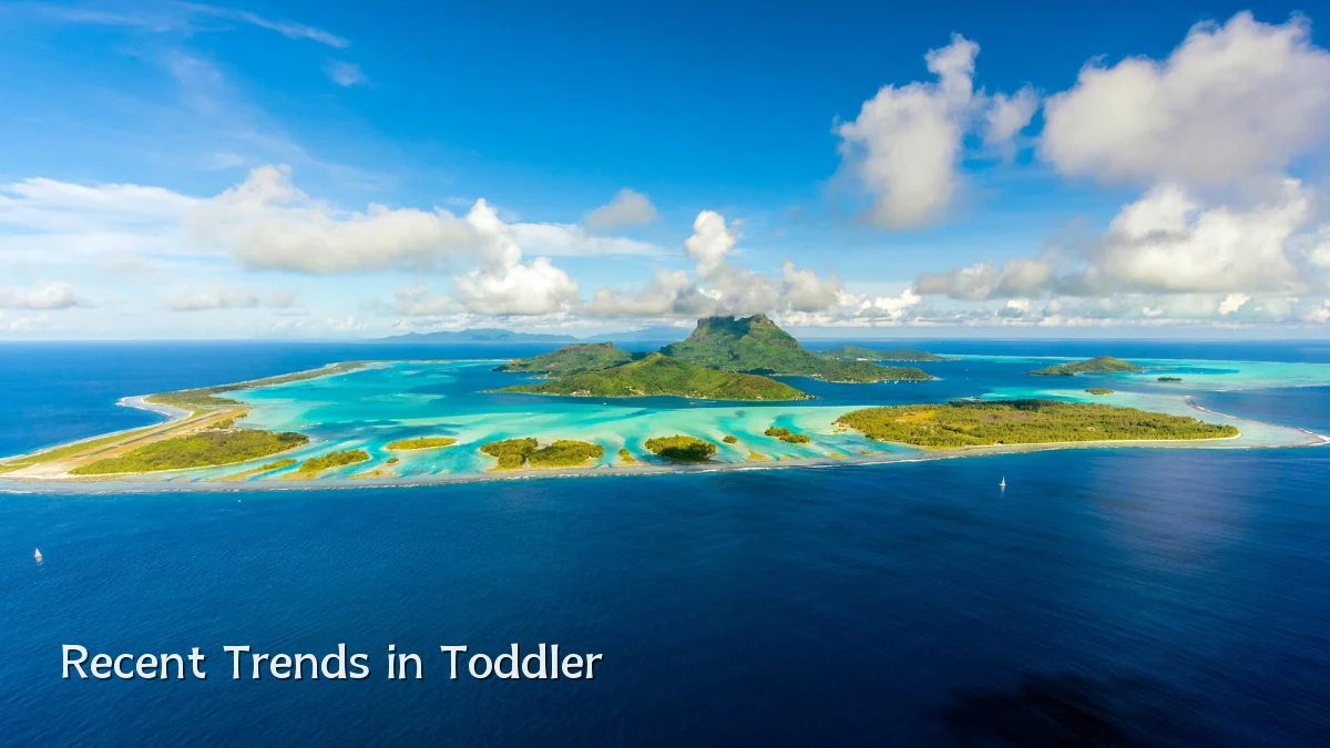 Recent Trends in Toddler