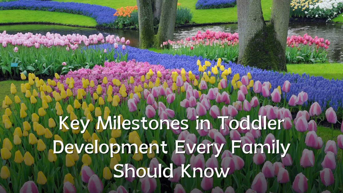 Key Milestones in Toddler Development Every Family Should Know