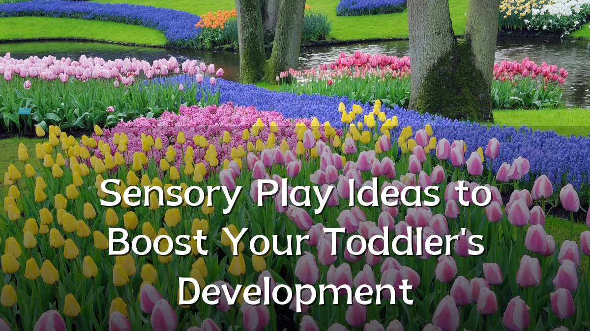 Sensory Play Ideas to Boost Your Toddler's Development