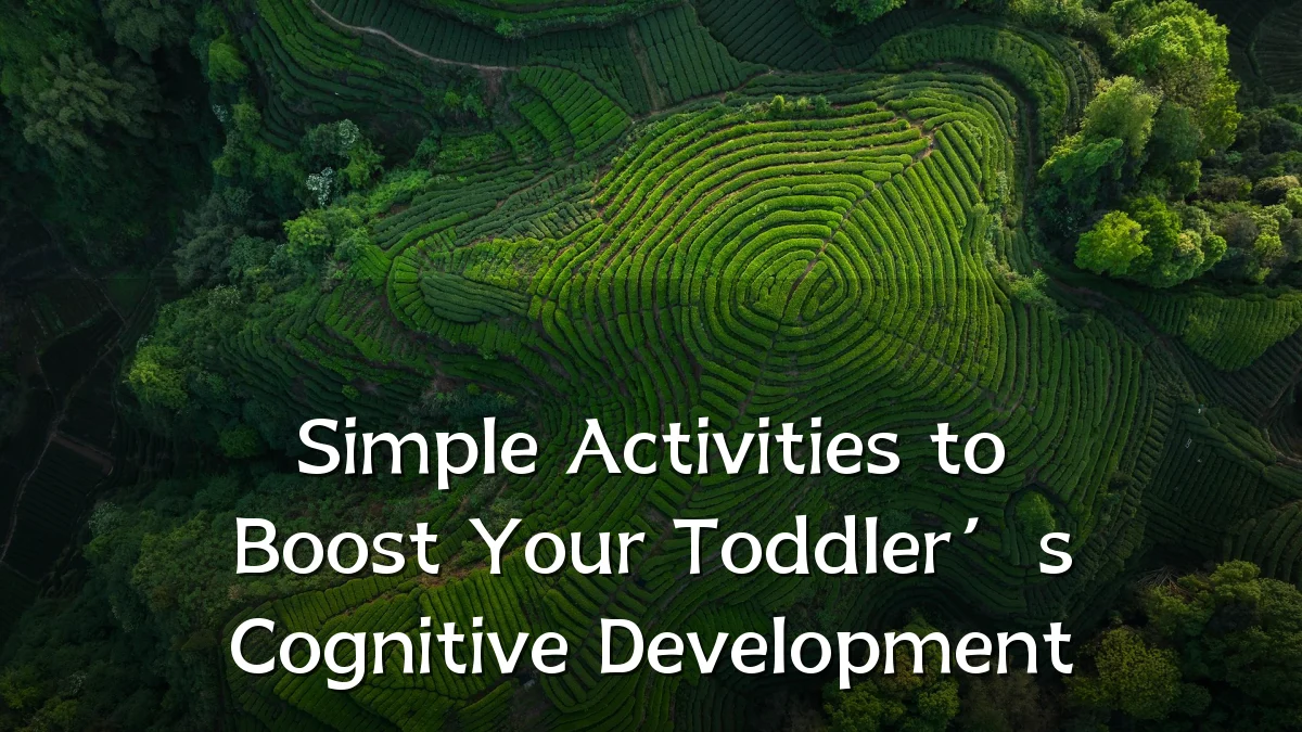 Simple Activities to Boost Your Toddler’s Cognitive Development