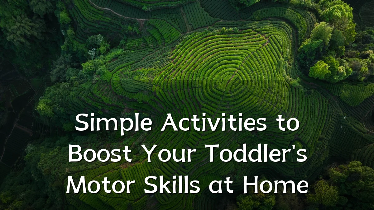 Simple Activities to Boost Your Toddler's Motor Skills at Home