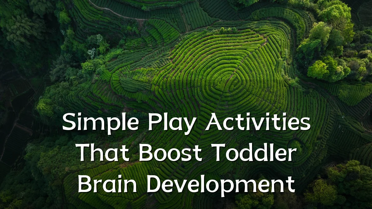 Simple Play Activities That Boost Toddler Brain Development