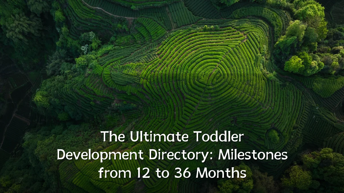 The Ultimate Toddler Development Directory: Milestones from 12 to 36 Months