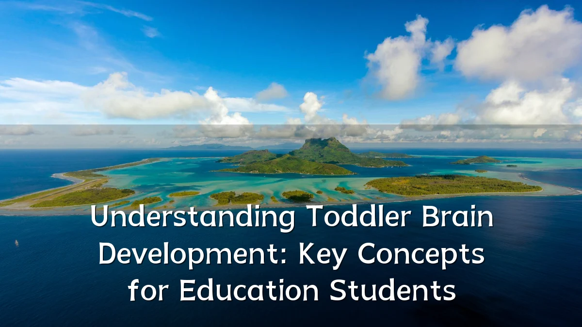 Understanding Toddler Brain Development: Key Concepts for Education Students